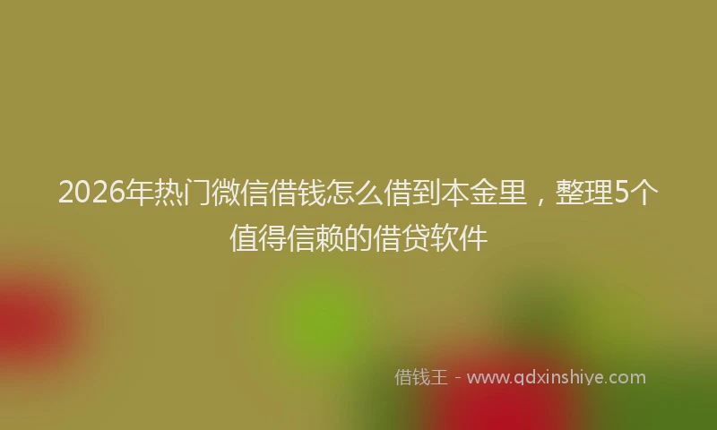 2026年热门微信借钱怎么借到本金里，整理5个值得信赖的借贷软件