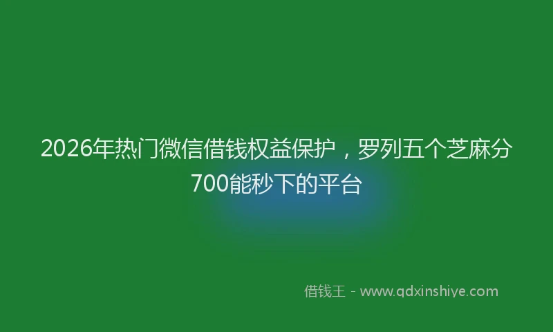 2026年热门微信借钱权益保护，罗列五个芝麻分700能秒下的平台