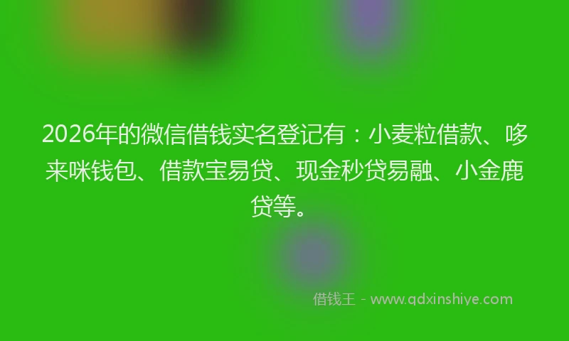 2026年的微信借钱实名登记有：小麦粒借款、哆来咪钱包、借款宝易贷、现金秒贷易融、小金鹿贷等。