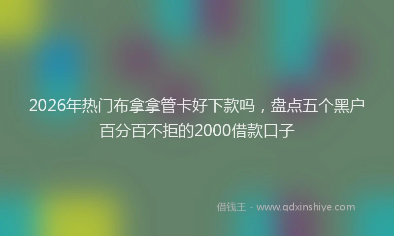 2026年热门布拿拿管卡好下款吗，盘点五个黑户百分百不拒的2000借款口子