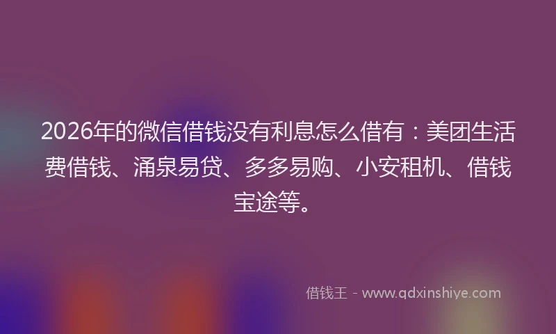 2026年的微信借钱没有利息怎么借有：美团生活费借钱、涌泉易贷、多多易购、小安租机、借钱宝途等。