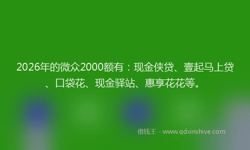 2026年的微众2000额有：现金侠贷、壹起马上贷、口袋花、现金驿站、惠享花花等。