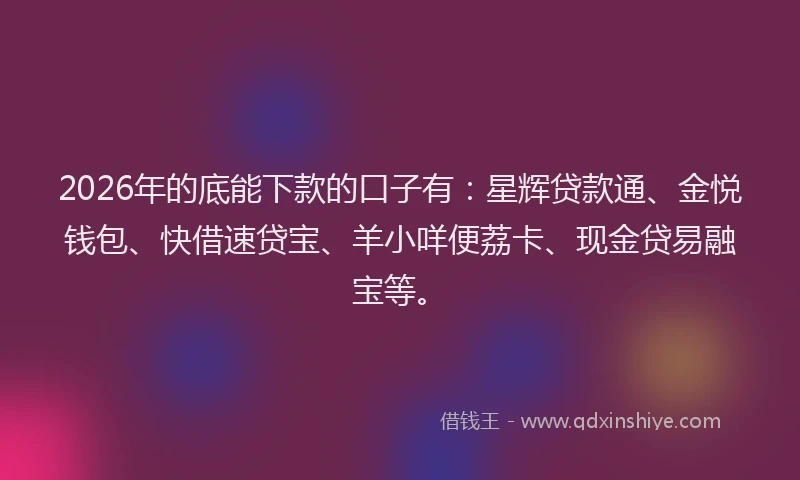 2026年的底能下款的口子有：星辉贷款通、金悦钱包、快借速贷宝、羊小咩便荔卡、现金贷易融宝等。