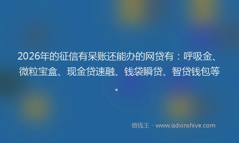 2026年的征信有呆账还能办的网贷有:呼吸金、微粒宝盒、现金贷速融、钱袋瞬贷、智贷钱包等。