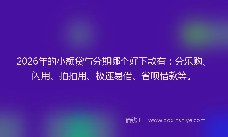 2026年的小额贷与分期哪个好下款有：分乐购、闪用、拍拍用、极速易借、省呗借款等。