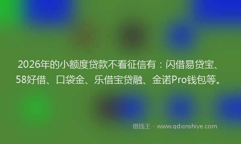 2026年的小额度贷款不看征信有：闪借易贷宝、58好借、口袋金、乐借宝贷融、金诺Pro钱包等。