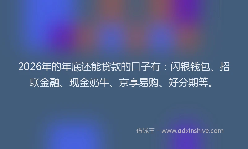 2026年的年底还能贷款的口子有：闪银钱包、招联金融、现金奶牛、京享易购、好分期等。