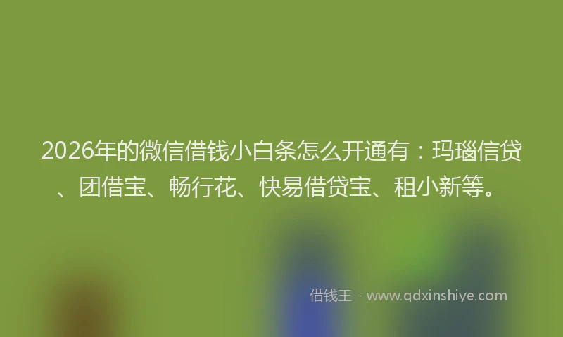 2026年的微信借钱小白条怎么开通有：玛瑙信贷、团借宝、畅行花、快易借贷宝、租小新等。
