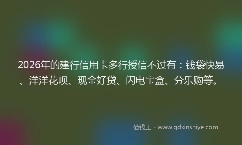 2026年的建行信用卡多行授信不过有：钱袋快易、洋洋花呗、现金好贷、闪电宝盒、分乐购等。