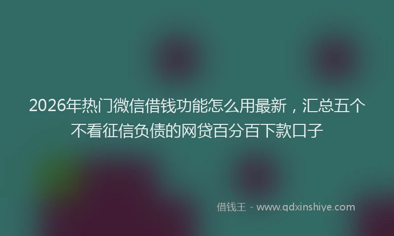 2026年热门微信借钱功能怎么用最新，汇总五个不看征信负债的网贷百分百下款口子