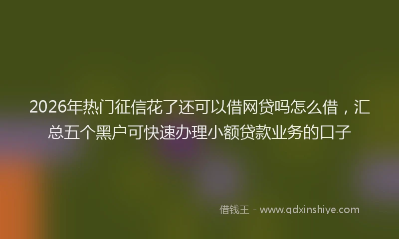 2026年热门征信花了还可以借网贷吗怎么借，汇总五个黑户可快速办理小额贷款业务的口子