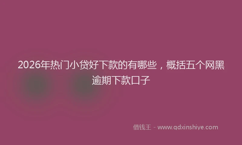 2026年热门小贷好下款的有哪些，概括五个网黑逾期下款口子