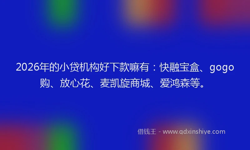 2026年的小贷机构好下款嘛有：快融宝盒、gogo购、放心花、麦凯旋商城、爱鸿森等。