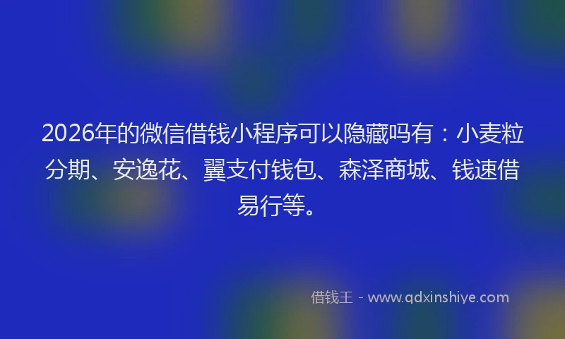 2026年的微信借钱小程序可以隐藏吗有：小麦粒分期、安逸花、翼支付钱包、森泽商城、钱速借易行等。
