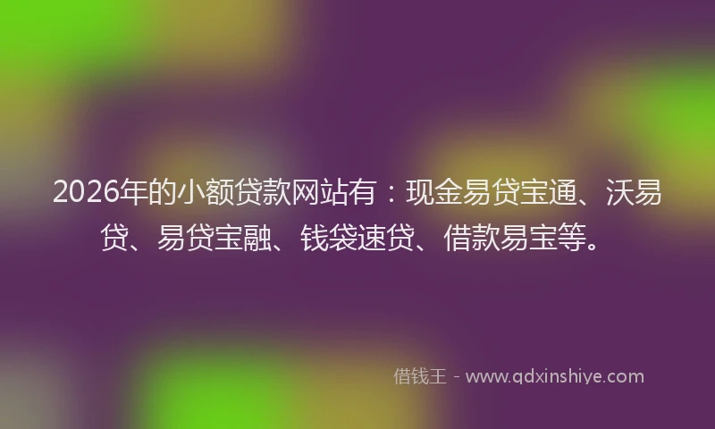 2026年的小额贷款网站有：现金易贷宝通、沃易贷、易贷宝融、钱袋速贷、借款易宝等。