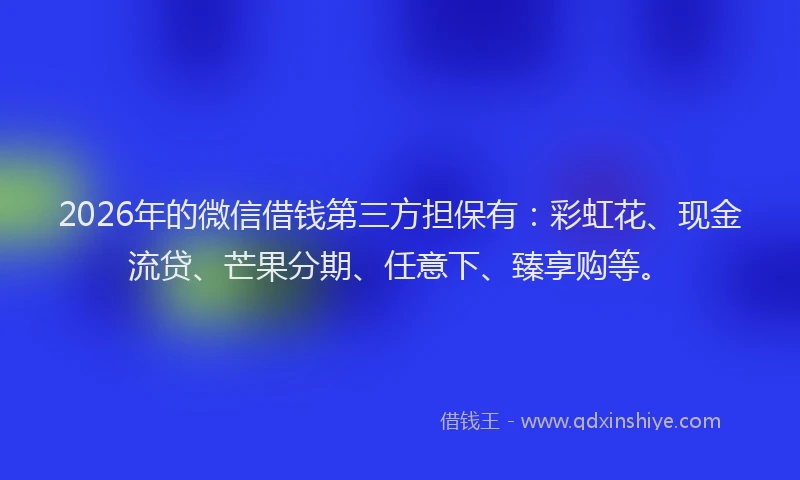 2026年的微信借钱第三方担保有：彩虹花、现金流贷、芒果分期、任意下、臻享购等。