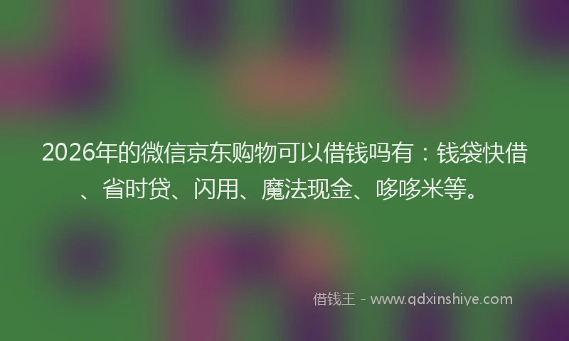 2026年的微信京东购物可以借钱吗有：钱袋快借、省时贷、闪用、魔法现金、哆哆米等。