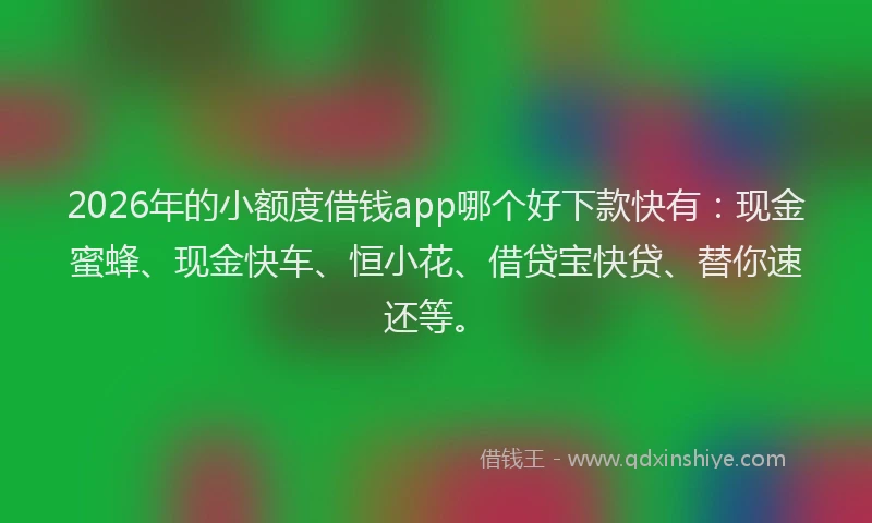 2026年的小额度借钱app哪个好下款快有：现金蜜蜂、现金快车、恒小花、借贷宝快贷、替你速还等。