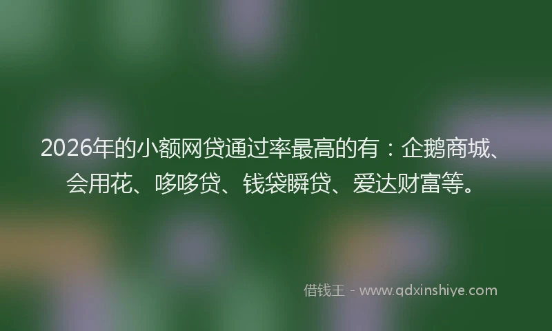 2026年的小额网贷通过率最高的有：企鹅商城、会用花、哆哆贷、钱袋瞬贷、爱达财富等。