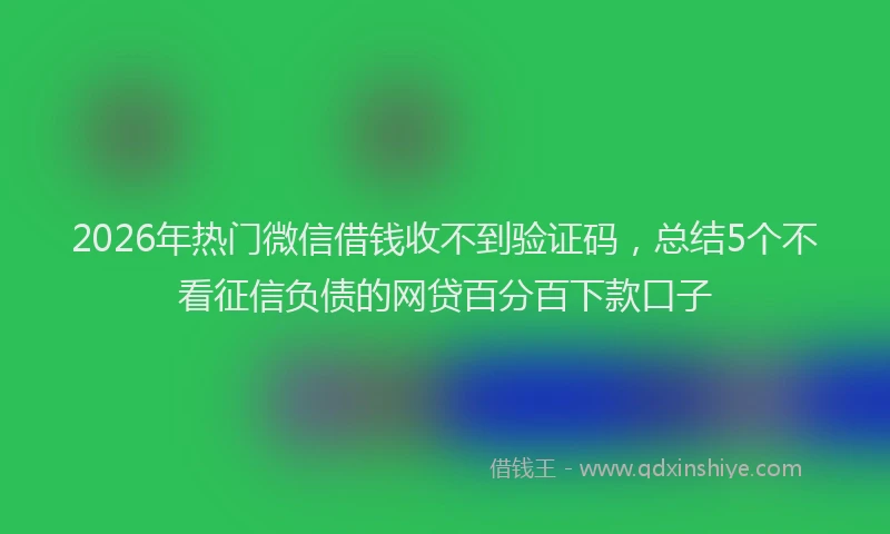 2026年热门微信借钱收不到验证码,总结5个不看征信负债的网贷百分百下款口子