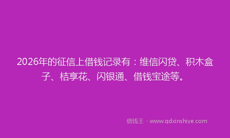2026年的征信上借钱记录有:维信闪贷、积木盒子、桔享花、闪银通、借钱宝途等。