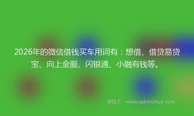 2026年的微信借钱买车用词有：想借、借贷易贷宝、向上金服、闪银通、小融有钱等。