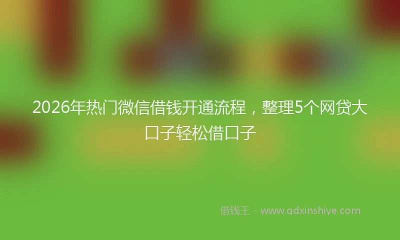 2026年热门微信借钱开通流程，整理5个网贷大口子轻松借口子
