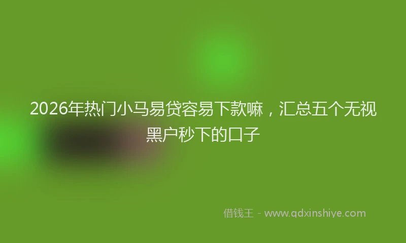 2026年热门小马易贷容易下款嘛，汇总五个无视黑户秒下的口子