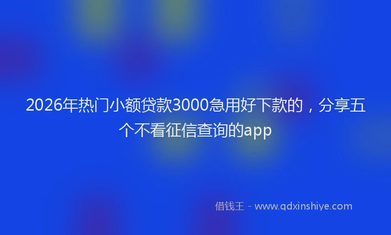 2026年热门小额贷款3000急用好下款的，分享五个不看征信查询的app