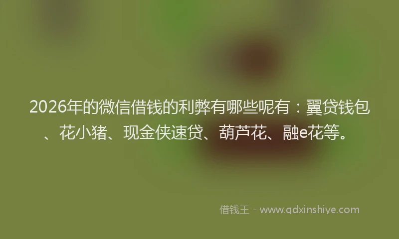 2026年的微信借钱的利弊有哪些呢有：翼贷钱包、花小猪、现金侠速贷、葫芦花、融e花等。