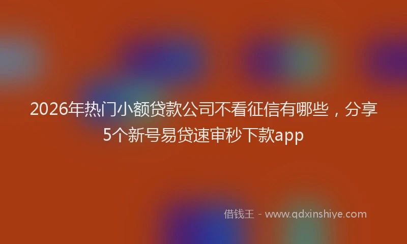 2026年热门小额贷款公司不看征信有哪些，分享5个新号易贷速审秒下款app