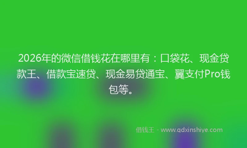 2026年的微信借钱花在哪里有：口袋花、现金贷款王、借款宝速贷、现金易贷通宝、翼支付Pro钱包等。