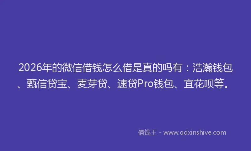 2026年的微信借钱怎么借是真的吗有：浩瀚钱包、甄信贷宝、麦芽贷、速贷Pro钱包、宜花呗等。