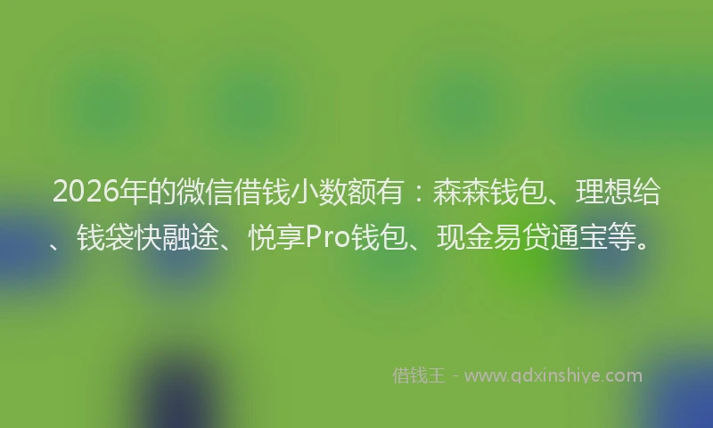 2026年的微信借钱小数额有：森森钱包、理想给、钱袋快融途、悦享Pro钱包、现金易贷通宝等。