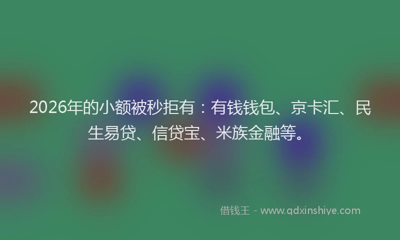 2026年的小额被秒拒有：有钱钱包、京卡汇、民生易贷、信贷宝、米族金融等。