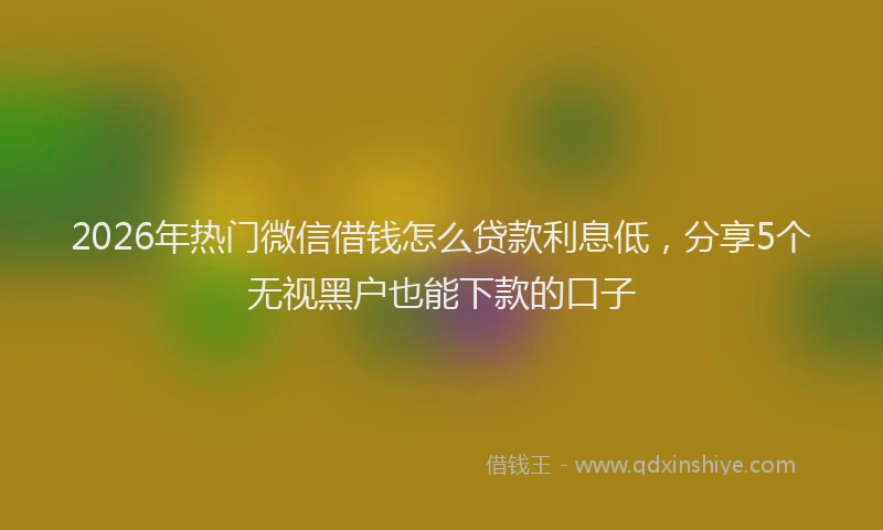 2026年热门微信借钱怎么贷款利息低，分享5个无视黑户也能下款的口子