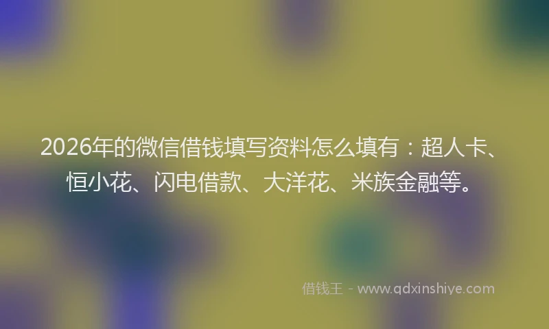 2026年的微信借钱填写资料怎么填有：超人卡、恒小花、闪电借款、大洋花、米族金融等。