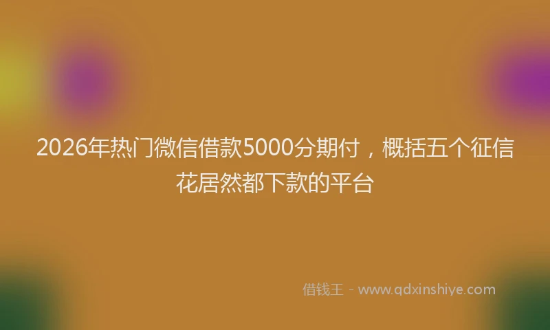 2026年热门微信借款5000分期付，概括五个征信花居然都下款的平台