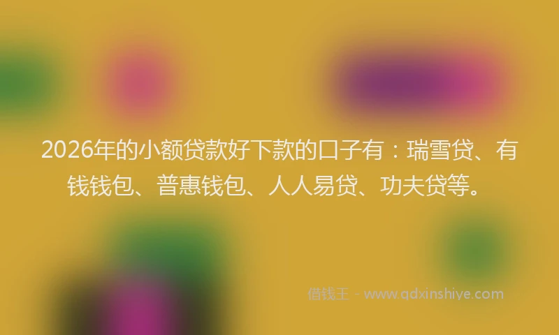 2026年的小额贷款好下款的口子有：瑞雪贷、有钱钱包、普惠钱包、人人易贷、功夫贷等。