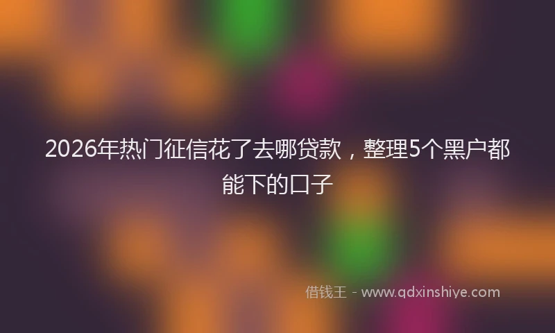 2026年热门征信花了去哪贷款，整理5个黑户都能下的口子