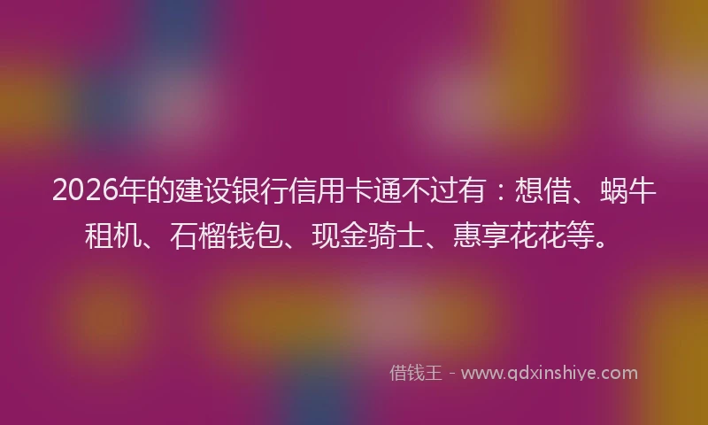 2026年的建设银行信用卡通不过有：想借、蜗牛租机、石榴钱包、现金骑士、惠享花花等。