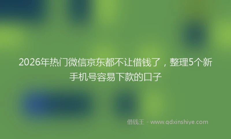 2026年热门微信京东都不让借钱了，整理5个新手机号容易下款的口子