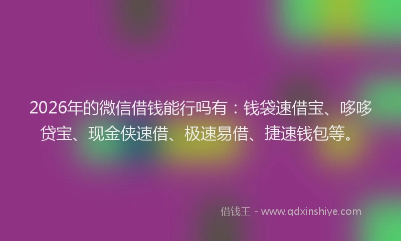 2026年的微信借钱能行吗有：钱袋速借宝、哆哆贷宝、现金侠速借、极速易借、捷速钱包等。