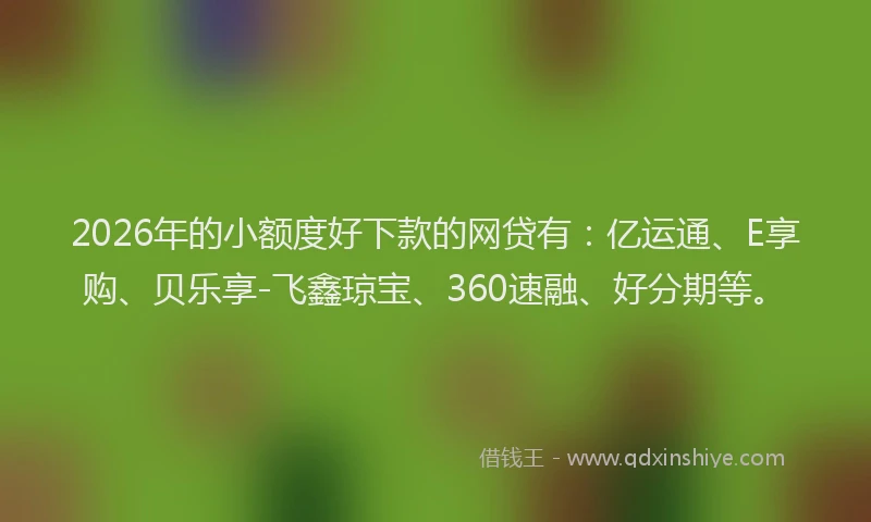 2026年的小额度好下款的网贷有：亿运通、E享购、贝乐享-飞鑫琼宝、360速融、好分期等。