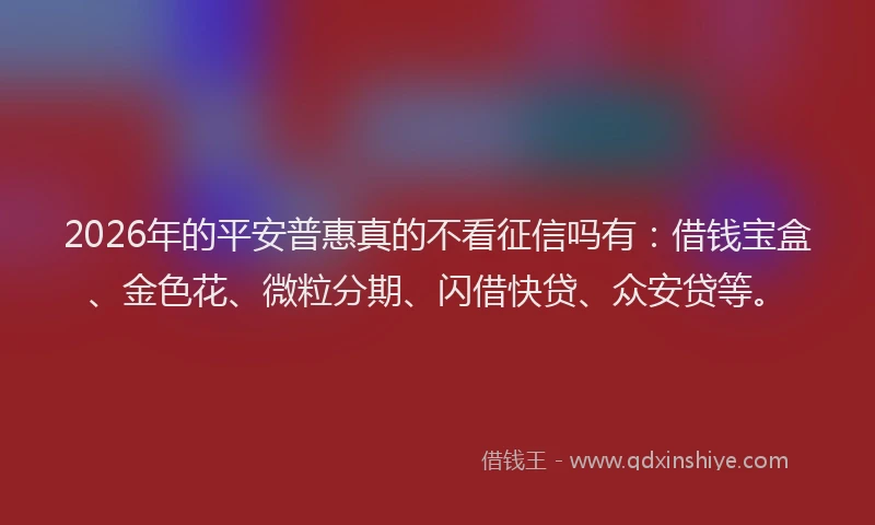 2026年的平安普惠真的不看征信吗有：借钱宝盒、金色花、微粒分期、闪借快贷、众安贷等。