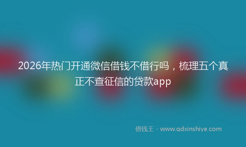 2026年热门开通微信借钱不借行吗,梳理五个真正不查征信的贷款app