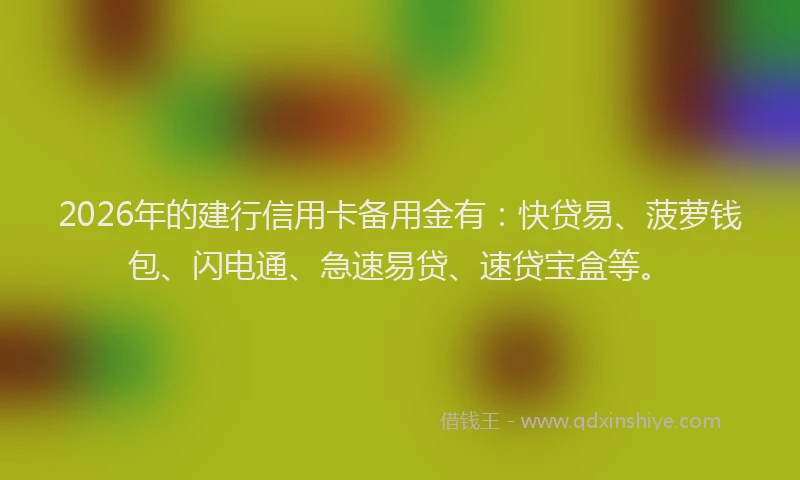 2026年的建行信用卡备用金有：快贷易、菠萝钱包、闪电通、急速易贷、速贷宝盒等。
