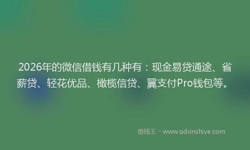 2026年的微信借钱有几种有:现金易贷通途、省薪贷、轻花优品、橄榄信贷、翼支付Pro钱包等。