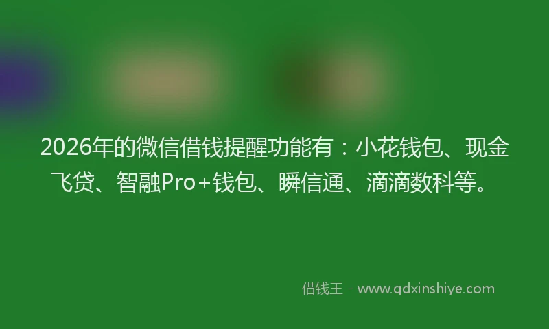 2026年的微信借钱提醒功能有:小花钱包、现金飞贷、智融Pro+钱包、瞬信通、滴滴数科等。