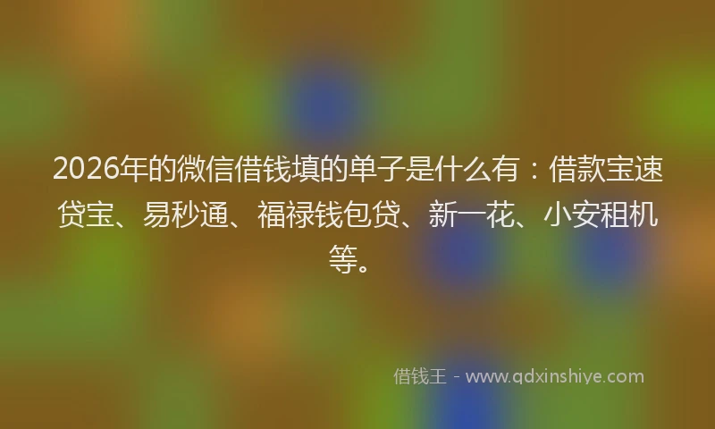 2026年的微信借钱填的单子是什么有：借款宝速贷宝、易秒通、福禄钱包贷、新一花、小安租机等。